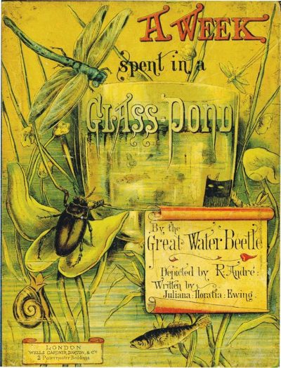 WEEK SPENT IN A GLASS POND