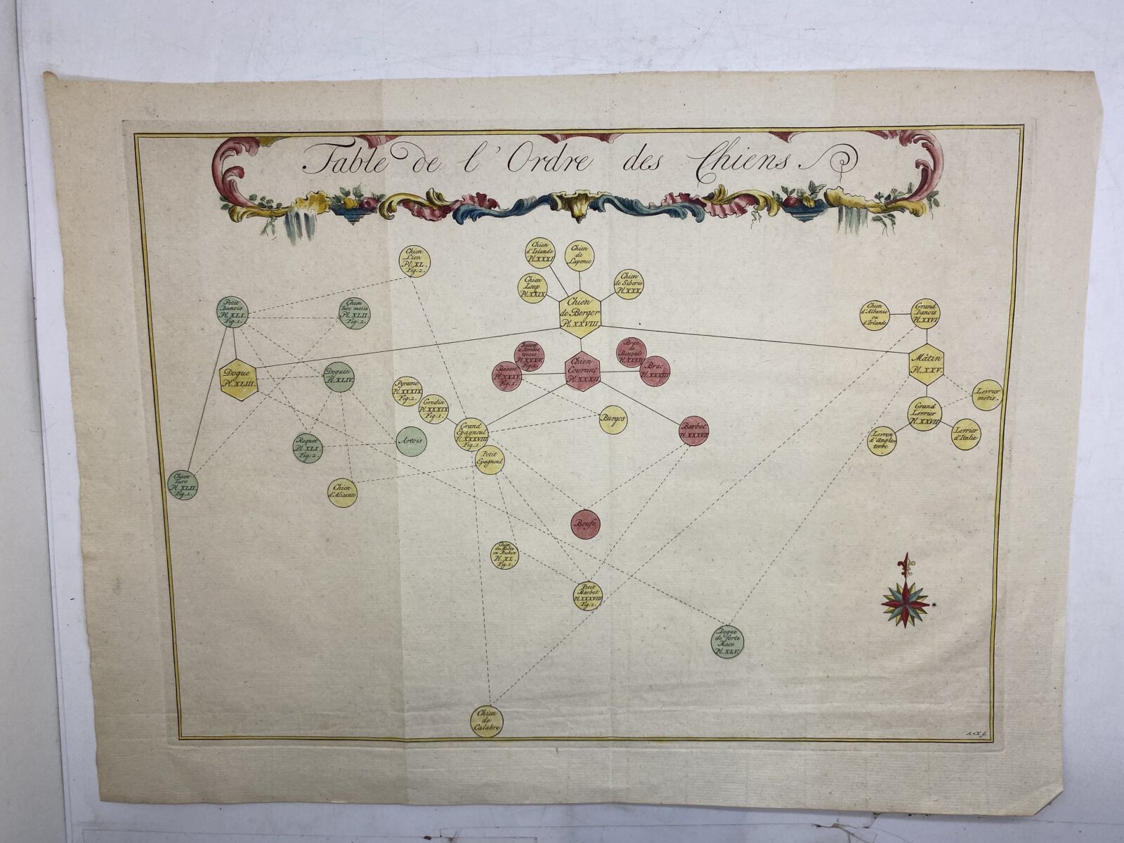 Table de l'Ordre des Chiens