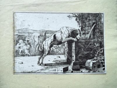 The Zoographia (Descriptions of Animals) Known as.