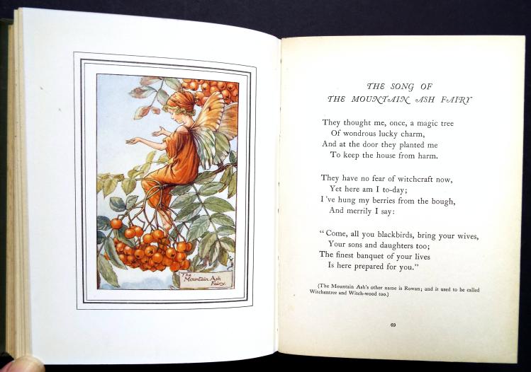 The Book of Flower Fairies.