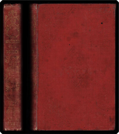 The adventures of a donkey.