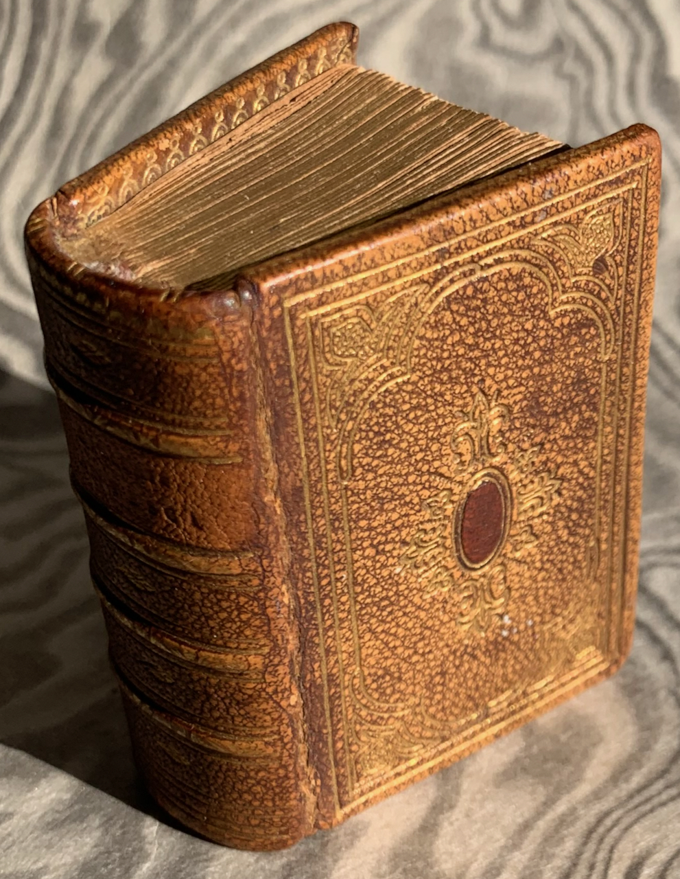 Galleria Dantesca Microscopica