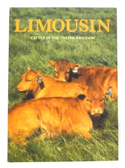 Limousin Cattle in the United Kingdom