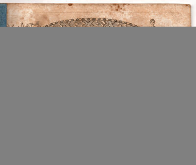 Deutsche & Englische Vorschriften für die Jugend