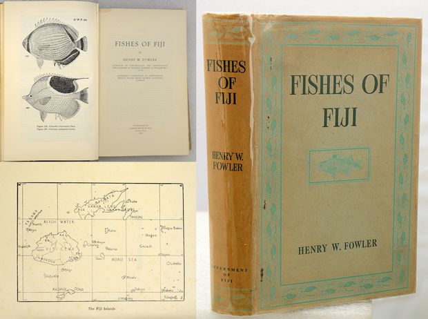 FISHES OF FIJI. Foreword by B.E.V. Parham.